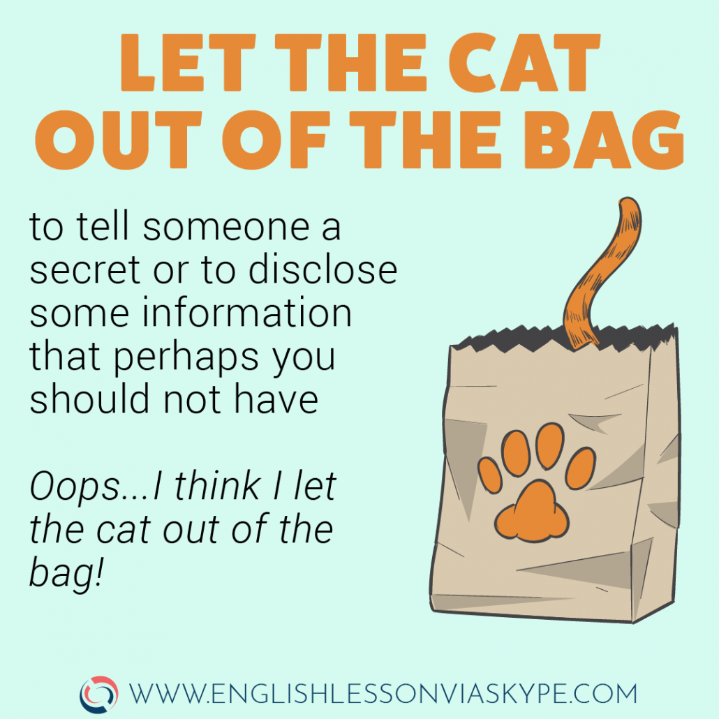 Let the cat out of the bag idiom meaning. English idioms relating to communication. English idioms in context. #learnenglish #englishlessons #skype #englishteacher #vocabulary #idioms #hoctienganh #ingles #อังกฤษ #английский #英语 #영어