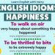 Idioms Related to Happiness and Sadness