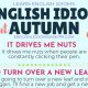 English Phrases and Idioms connected with Autumn