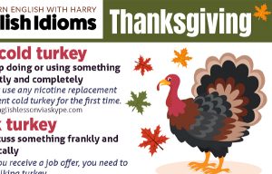 Read more about the article Idioms and Phrases related to Thanksgiving