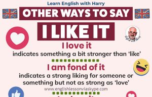 Read more about the article Other Words for LIKE in English