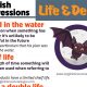 English Expressions About Life and Death