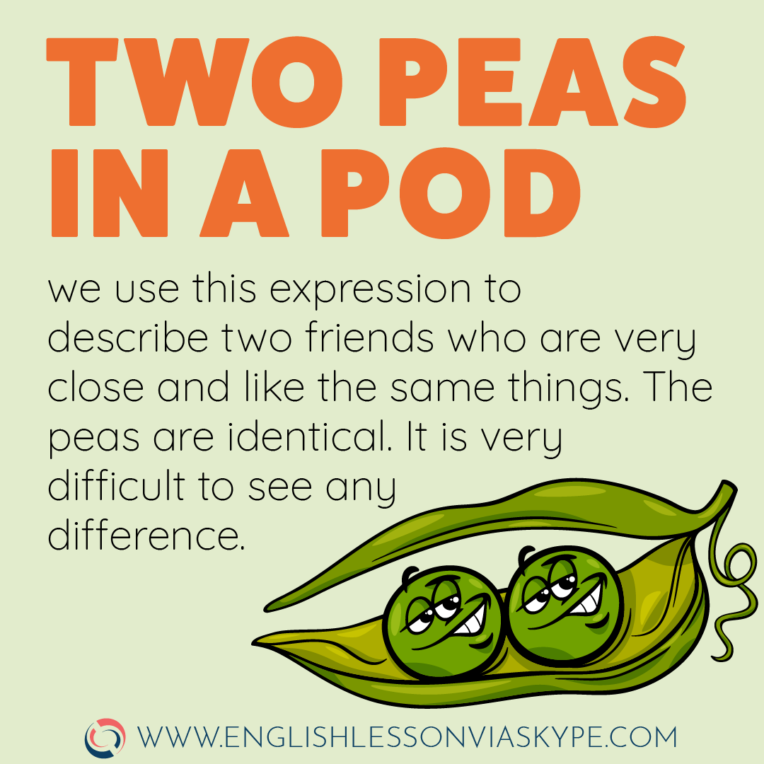 English Expressions about Friendship. Two peas in a pod meaning. Improve English skills. #learnenglish #englishlessons #englishteacher #englishvocabulary #ingles #aprenderingles