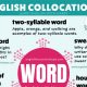 20 Collocations with Word