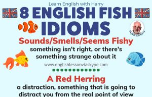 English fish idioms and phrases. Advanced English learning. Advanced English lessons at www.englishlessonviaskype.com #learnenglish #englishlessons
