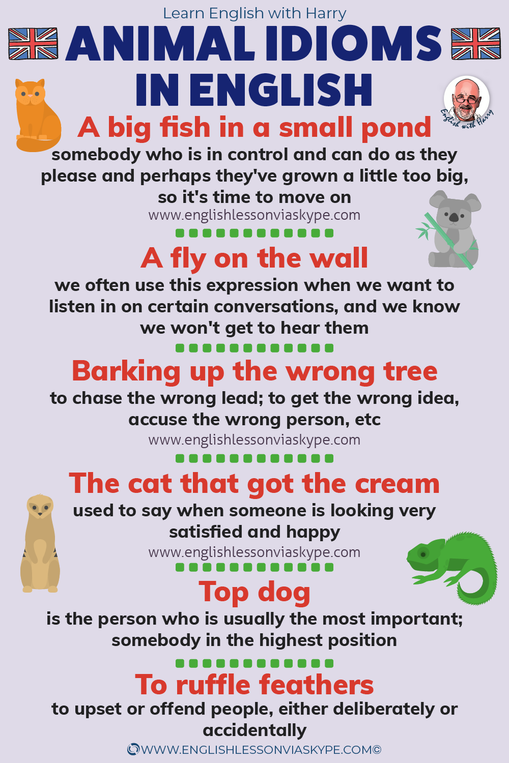 11 Animal Idioms In English • Learn English with Harry 👴