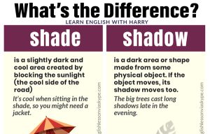 Read more about the article Difference Between Shade And Shadow