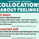 C1 English Collocations For Feelings (Negative)