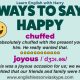 How To Say Happy In English