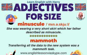 Learn common adjectives for size and shape. Advanced English lessons on Zoom and Skype. #learnenglishnglish
