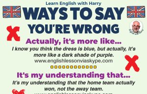 Read more about the article Ways To Say You’re Wrong In English