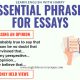 Key Phrases for Writing Essays in English