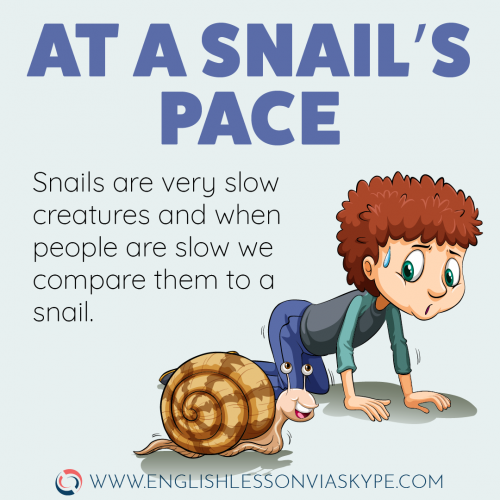 English Idioms about Speed and Progress. At snail's speed meaning. Intermediate level English vocabulary. #learnenglish #englishlessons #englishteacher #ingles #aprenderingles
